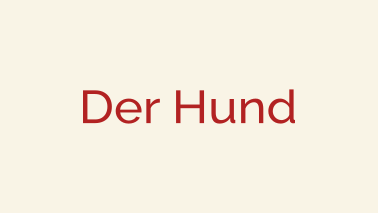 Der Hund