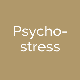 Psychostress oder Psycho-Stress